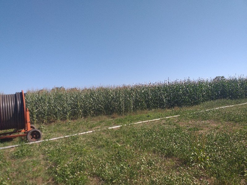 20200711_174428.jpg