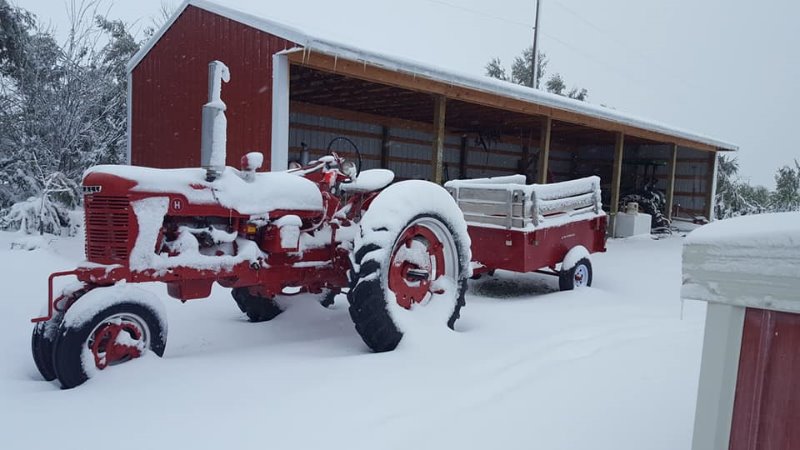 Montana first snow 19.jpg