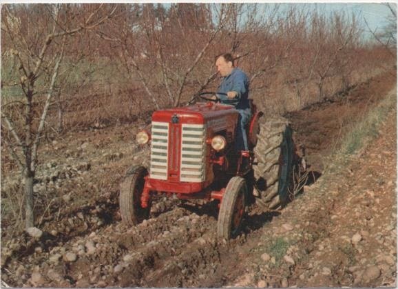 Nouveau tracteur verger vigne 001.jpg