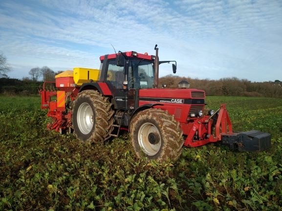 Semis direct blé.f.jpg