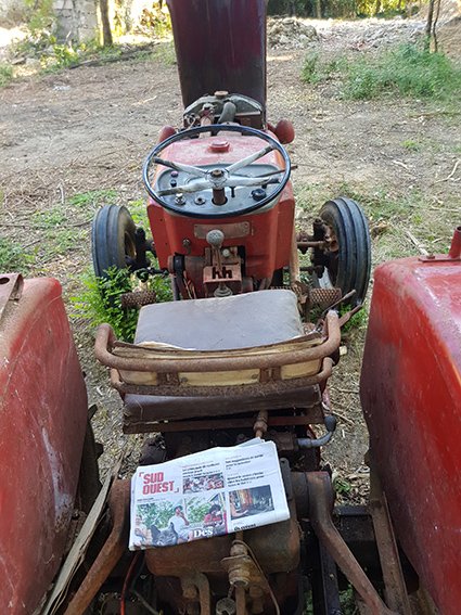 kiki arrière BD.jpg